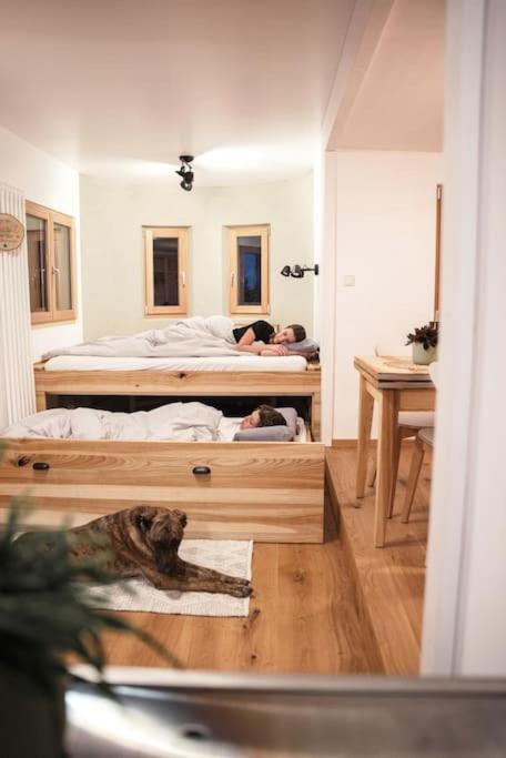 Vila Wohnwagon Paul - Autarkie Erleben! - Tiny House Oberschneiding Exteriér fotografie